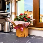 Two Bedroom Karavelov With Private Parking Medical Apartment Plovdiv